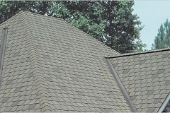 Designer Shingles in St. Louis