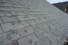 Hail Damage Repair Services in St. Louis
