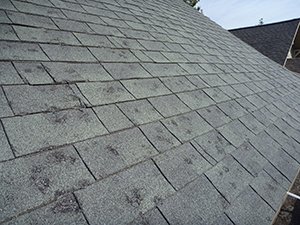 St. Louis Emergency Roof Repair Services